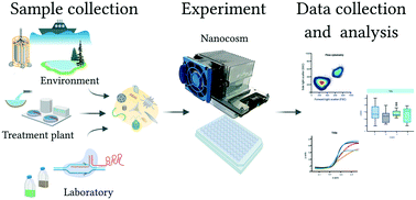 Nanocosm A Well Plate Photobioreactor For Environmental And Biotechnological Studies Lab On A Chip Rsc Publishing