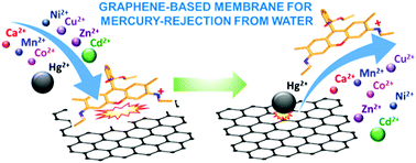 Water Dispersible Few Layer Graphene Flakes For Selective And Rapid Ion Mercury Hg2 Rejecting Membranes Materials Advances Rsc Publishing