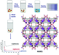 A Biocompatible Znna2 Based Metal Organic Framework With High Ibuprofen Nitric Oxide And Metal Uptake Capacity Materials Advances Rsc Publishing