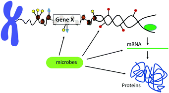 Multi-omics data integration considerations and study design for ...