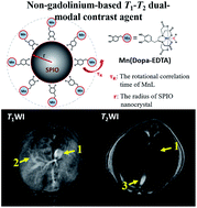 Mn Ii Chelate Coated Superparamagnetic Iron Oxide Nanocrystals As High Efficiency Magnetic Resonance Imaging Contrast Agents Nanoscale Advances Rsc Publishing