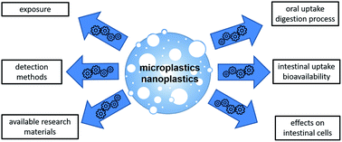 MICRO2020, Fate and Impacts of Microplastics: Knowledge and