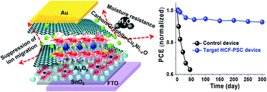 Interfacial engineering with carbon–graphite–CuδNi1−δO for ambient-air ...