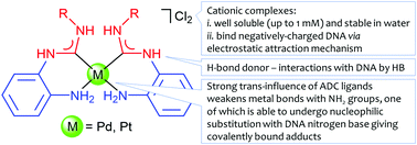 Water soluble palladium(ii) and platinum(ii) acyclic diaminocarbene  complexes: solution behavior, DNA binding, and antiproliferative activity -  New Journal of Chemistry (RSC Publishing)