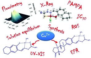 Salicylaldehyde Thiosemicarbazone Copper Complexes Impact Of Hybridization With Estrone On Cytotoxicity Solution Stability And Redox Activity New Journal Of Chemistry Rsc Publishing