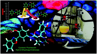 Hybrid 3,4-dihydropyrimidin-2-(thi)ones as dual-functional bioactive ...