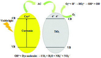 Evaluation of curcumin assistance in the antimicrobial and ...