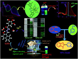 Amide–imine conjugate involving gallic acid and naphthalene for nano ...