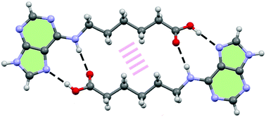 Crystal Structures Of N6 Modified Amino Acid Nucleobase Analogs Iii Adenine Valeric Acid Adenine Hexanoic Acid And Adenine Gabapentine New Journal Of Chemistry Rsc Publishing