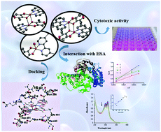 Synthesis X Ray Structure Antiproliferative Activity Interaction With Hsa And Docking Studies Of Three Novel Mono And Binuclear Copper Complexes Containing The Maltol Ligand New Journal Of Chemistry Rsc Publishing