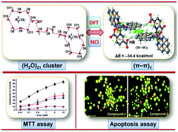 Biologically Relevant And Energetically Significant Cooperative Ternary P P 2 P P 1 P P 2 Assemblies And Fascinating Discrete H2o 21 Clusters In Isostructural 2 5 Pyridine Dicarboxylato Co Ii And Zn Ii Phenanthroline Compounds Antiproliferative