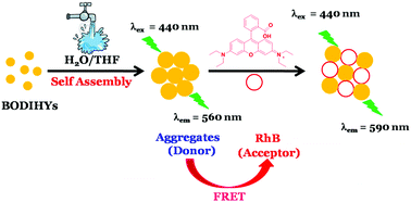 Artificial Light Harvesting Systems Lhss Based On Boron Difluoride Bf2 Hydrazone Complexes Bodihys New Journal Of Chemistry Rsc Publishing