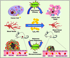 Anti Angiogenic Vanadium Pentoxide Nanoparticles For The Treatment Of Melanoma And Their In Vivo Toxicity Study Nanoscale Rsc Publishing