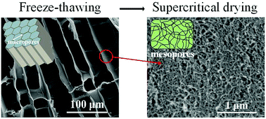 Dual-porous cellulose nanofibril aerogels via modular drying and cross