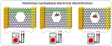 Electrically Sensing Hachimoji Dna Nucleotides Through A Hybrid Graphene H Bn Nanopore Nanoscale Rsc Publishing