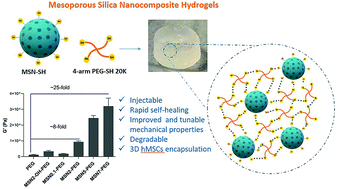 Injectable, self-healing mesoporous silica nanocomposite hydrogels