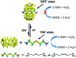 Construction of pH sensitive smart glutathione peroxidase (GPx) mimics  based on pH responsive pseudorotaxanes