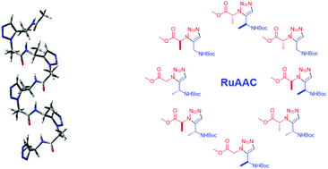 Chiral 1 5 Disubstituted 1 2 3 Triazoles Versatile Tools For Foldamers And Peptidomimetic Applications Organic Biomolecular Chemistry Rsc Publishing