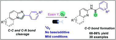 Singlet Oxygen Mediated Dual C C And C N Bond Cleavage In Visible Light Organic Biomolecular Chemistry Rsc Publishing