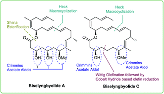 Biselyngbyolides A & C: their total synthesis and anticancer activities