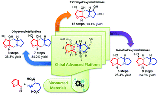 Synthesis And Sequential Diastereoselective Incorporation Of Hydroxyl Groups Into Hexahydrofuro 3 2 F Indolizin 7 2h One To Give Mono Di And Tetra Hydroxyfuroindolizidines Organic Biomolecular Chemistry Rsc Publishing