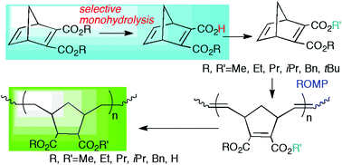 Syntheses Of Polynorbornadienes By Ring Opening Metathesis Polymerizations Of Symmetric And Non Symmetric 2 3 Bis Alkoxycarbonyl Norbornadienes And Their Conversion To Half Ester Derivatives Organic Biomolecular Chemistry Rsc Publishing