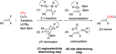 A Mechanistic Study On Cu I Catalyzed Carboxylation Of The C F Bond With Co2 A Dft Study Organic Biomolecular Chemistry Rsc Publishing