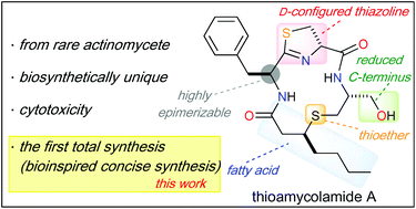 Total Synthesis Of Thioamycolamide A Via A Biomimetic Route Organic Biomolecular Chemistry Rsc Publishing