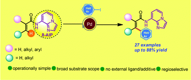 Palladium Catalyzed 8 Aminoimidazo 1 2 A Pyridine Aip Directed Selective B C Sp2 H Arylation Organic Biomolecular Chemistry Rsc Publishing