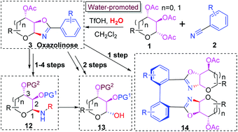 One Step Stereoselective Synthesis Of Oxazoline Fused Saccharides And Their Conversion Into The Corresponding 1 2 Cis Glycosylamines Bearing Various Protected Groups Organic Biomolecular Chemistry Rsc Publishing