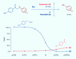 Competing Pathways For Photoremovable Protecting Groups The Effects Of Solvent Oxygen And Encapsulation Photochemical Photobiological Sciences Rsc Publishing