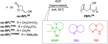 Organocatalyzed Ring Opening Polymerization Rop Of Functional B Lactones New Insights Into The Rop Mechanism And Poly Hydroxyalkanoate S Phas Macromolecular Structure Polymer Chemistry Rsc Publishing