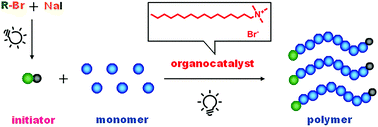 Cationic Quaternary Ammonium Salt Catalyzed Led Induced Living Radical Polymerization With In Situ Halogen Exchange Polymer Chemistry Rsc Publishing