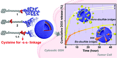 conjugation toxins to glutathione l-cysteine as a substrate for glutathione (GSH) synthesis as well as a