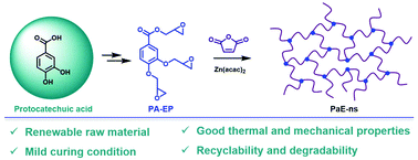 bisphenol epoxy protocatechuic recyclable