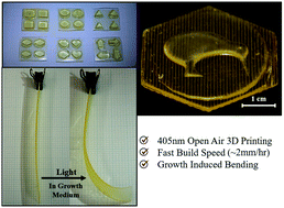 3D Printer Raft  : The Layer Does Not Stick, Is Uneven, Has Poor Finish Or, If They Are Printing With Materials Like Abs, Then Warping Fails The Print.