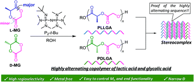 An organocatalytic ring-opening polymerization approach to highly  alternating copolymers of lactic acid and glycolic acid - Polymer Chemistry  (RSC Publishing)