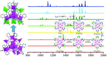 The Stepwise Substitution In The Hierarchical Building Of Co11cd6 Cluster Based Mofs From Co14 Precursor Inorganic Chemistry Frontiers Rsc Publishing