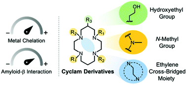 Reactivities Of Cyclam Derivatives With Metal Amyloid B Inorganic Chemistry Frontiers Rsc Publishing