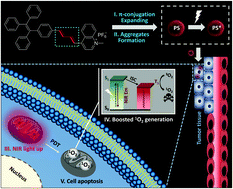 Mitochondrion‐Anchoring Photosensitizer with Aggregation‐Induced Emission  Characteristics Synergistically Boosts the Radiosensitivity of Cancer Cells  to Ionizing Radiation - Yu - 2017 - Advanced Materials - Wiley Online  Library