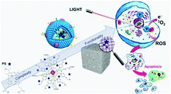 Photodynamic Therapy Photosensitizers And Nanostructures Materials Chemistry Frontiers Rsc Publishing