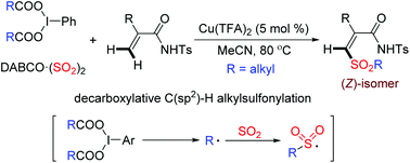 Generation Of Z B Alkenyl Alkylsulfones Via A Copper Catalyzed Decarboxylative Alkylsulfonylation Organic Chemistry Frontiers Rsc Publishing