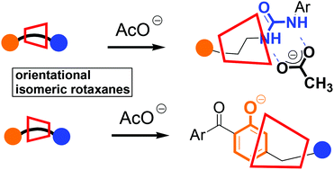 Orientation Of The A Cd Component Of 2 Rotaxanes Affects Their Specific Molecular Recognition Behaviour Organic Chemistry Frontiers Rsc Publishing