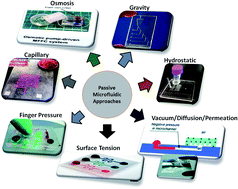 Advances in passively driven microfluidics and lab-on-chip devices: a  comprehensive literature review and patent analysis - RSC Advances (RSC  Publishing)