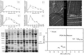 The Differential Effects Of Endogenous Cathepsin And Microorganisms On Changes In The Texture And Flavor Substances Of Grouper Epinephelus Coioides Fillets Rsc Advances Rsc Publishing