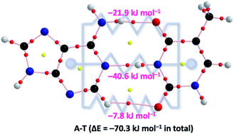 Intrinsic Dynamic And Static Nature Of Each Hb In The Multi Hbs Between Nucleobase Pairs And Its Behavior Elucidated With Qtaim Dual Functional Analysis And Qc Calculations Rsc Advances Rsc Publishing