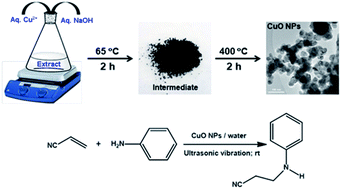 Green Synthesis Of Cuo Nanoparticles Using Lantana Camara Flower Extract And Their Potential Catalytic Activity Towards The Aza Michael Reaction Rsc Advances Rsc Publishing