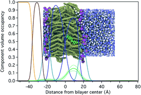 Investigating Partitioning Of Free Versus Macrocycle Bound Guest Into A Model Popc Lipid Bilayer Rsc Advances Rsc Publishing