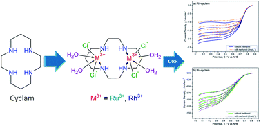 Study Of M Iii Cyclam M Rh Ru Cyclam 1 4 8 11 Tetraazacyclotetradecane Complexes As Novel Methanol Resistant Electrocatalysts For The Oxygen Reduction Reaction Rsc Advances Rsc Publishing