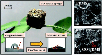 Graphene Oxide Polydimethylsiloxane Composite Sponge For Removing Pb Ii From Water Rsc Advances Rsc Publishing